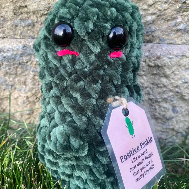 Emotional Support Pickle from Crochet by Julia