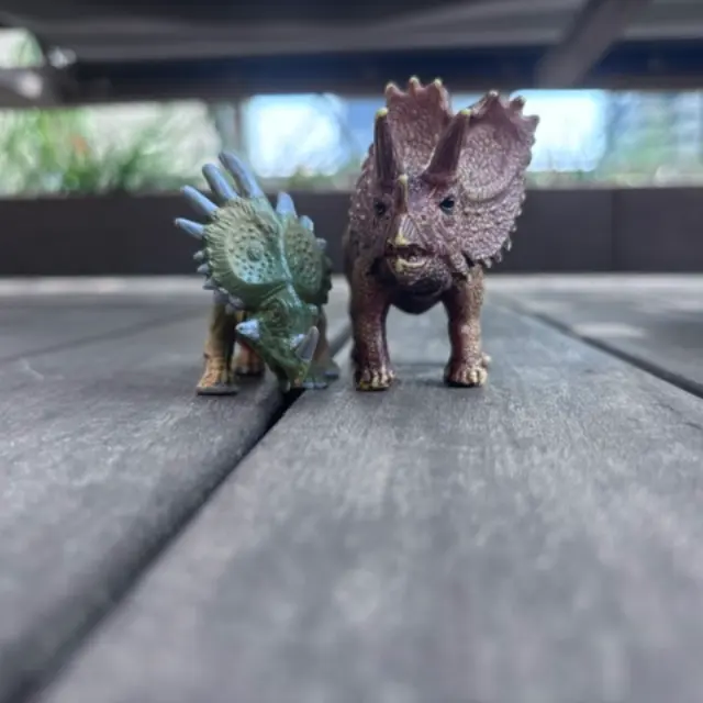 Triceratops (outgrown toy) from Wolfe’s Stuff